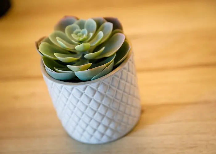 ゲストハウス Mari House マリンスカ