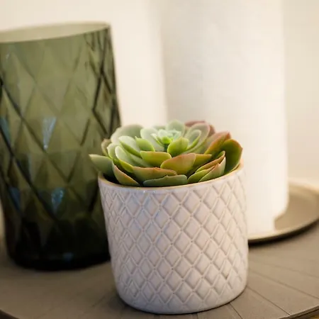 Πανσιόν Mari House