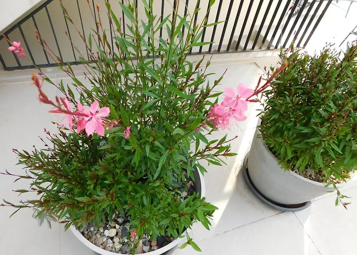 Mari House 4* Malinska